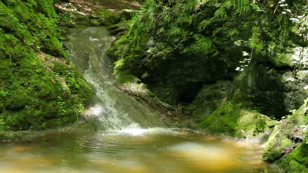 Nad vodopády v lese pravěké teče řeka