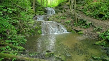 Üzerinde şelaleler ilkel ormandaki nehir geçiyor