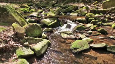 ilkel ormandaki kayalar üzerinde nehir geçiyor