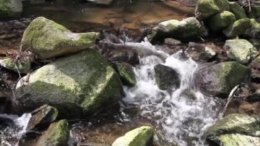 ilkel ormandaki kayalar üzerinde nehir geçiyor