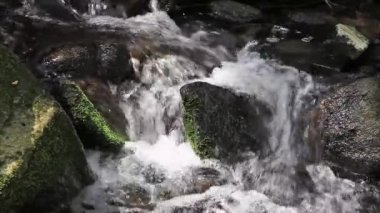 ilkel ormandaki kayalar üzerinde nehir geçiyor