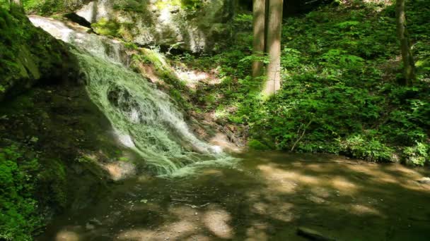 Río corre sobre cascadas en el bosque primitivo — Vídeos de Stock