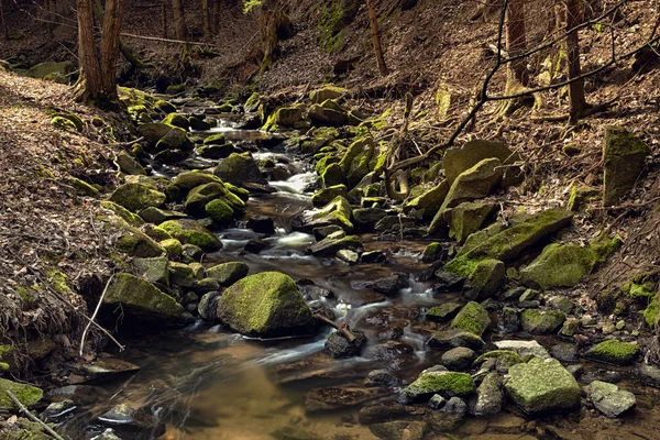 Río en el bosque - HDR —  Fotos de Stock