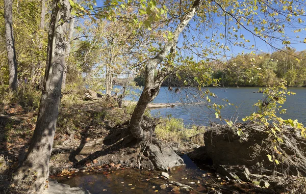 Potomac River i höst — Stockfoto