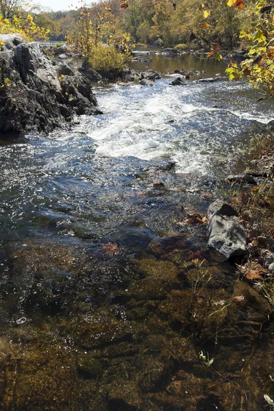 Rivière Potomac à l'automne — Photo