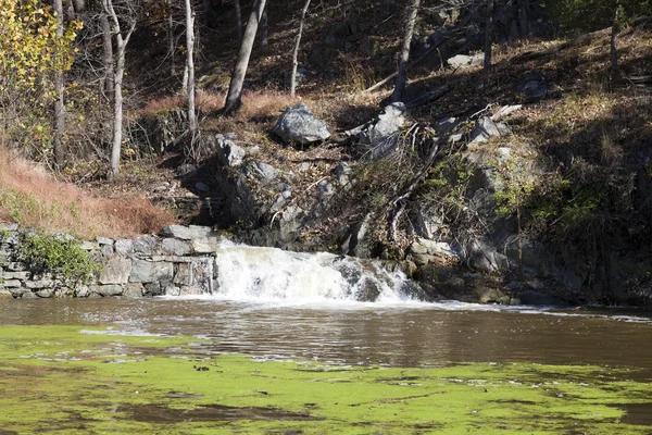 Río Potomac en otoño — Foto de Stock