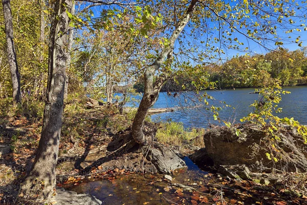 Fiume Potomac in autunno — Foto Stock