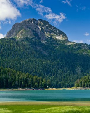 Koca Balkan Dağları. Durmitor.