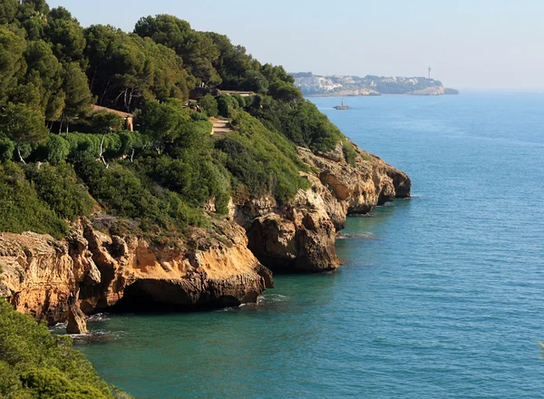 Côtes rocheuses et jungle près de la mer avec ciel bleu — Photo
