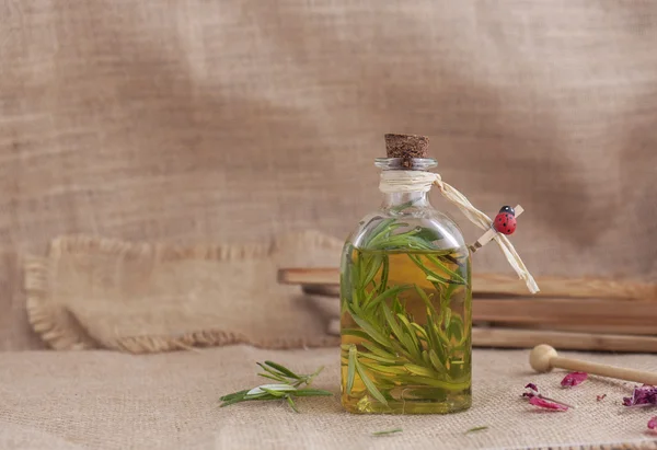 Botol minyak zaitun, dengan rosemary . — Stok Foto