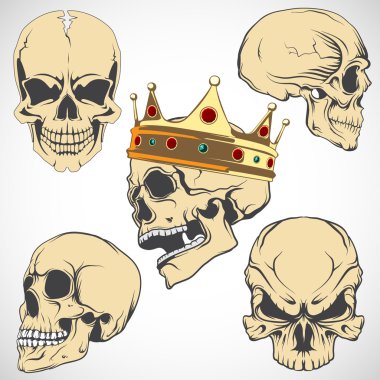 Vektör kafatasları kümesi.