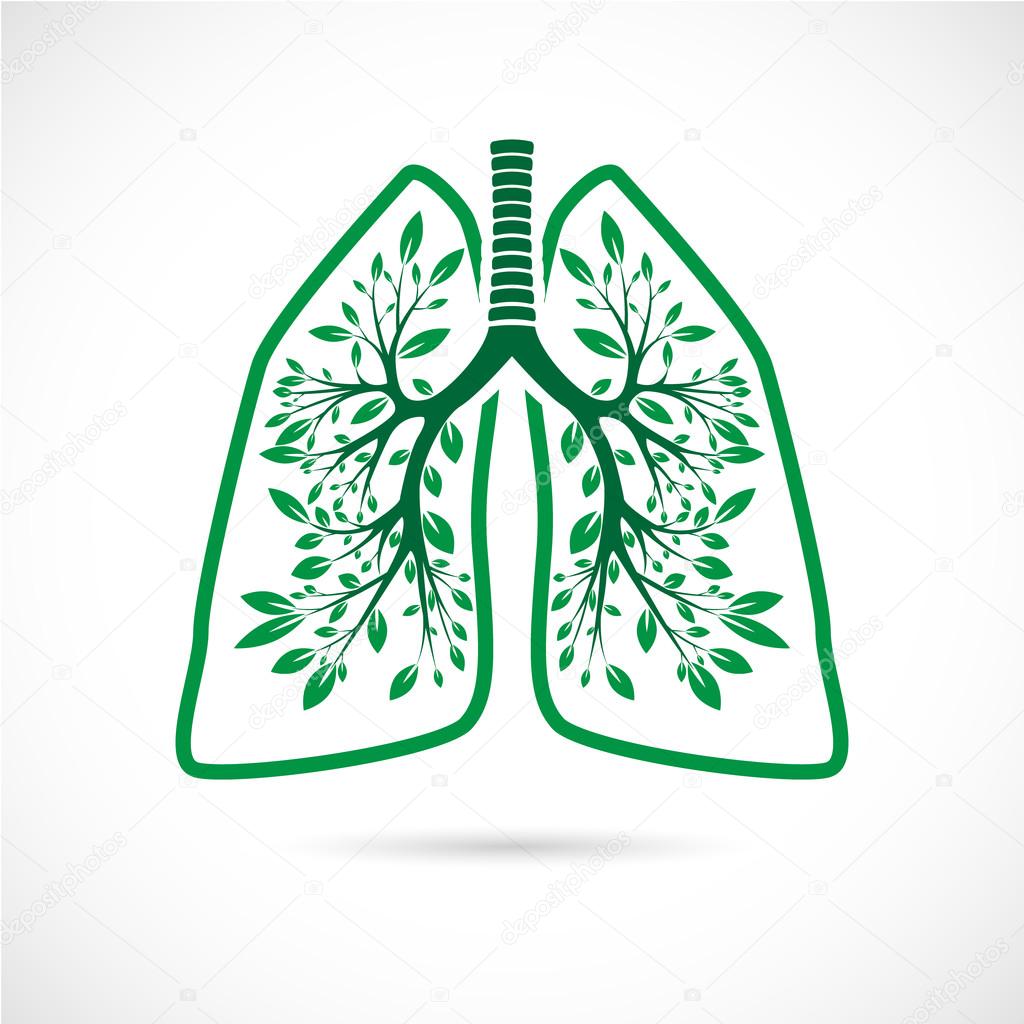 Human lungs in the form of green leaves on a white background.