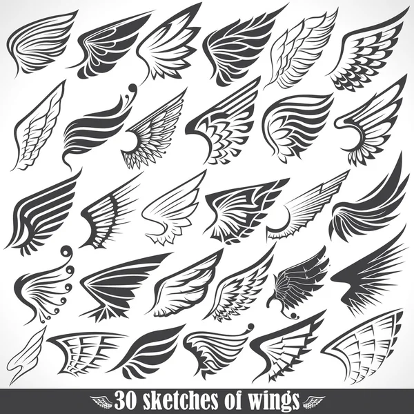 Big Set sketches of wings — Stock Vector