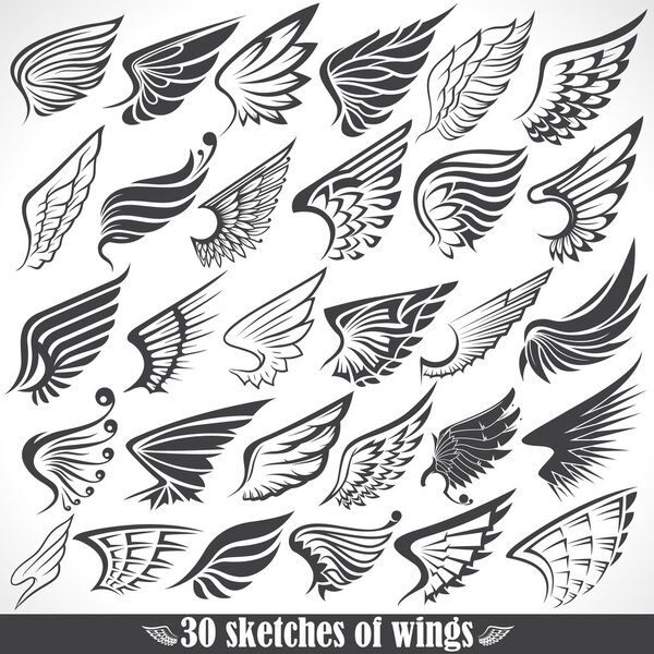 Big Set sketches of wings