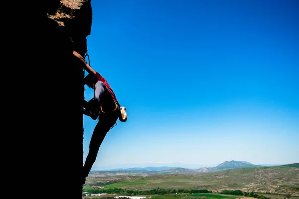 Genç Kurt Arka Planda Güzel Bir Manzarayla Kayaya Tırmanıyor — Stok fotoğraf