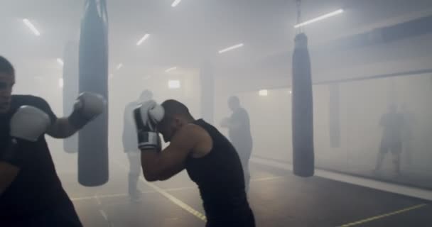 Fighter Warming Met Sparring — Stockvideo