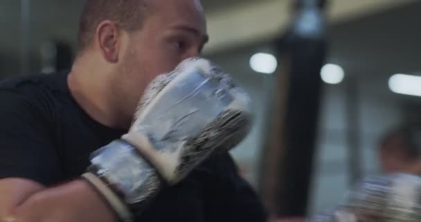 Προβολή Φόντου Ενός Kick Boxer Προπόνηση Μέσα Ένα Γυμναστήριο — Αρχείο Βίντεο