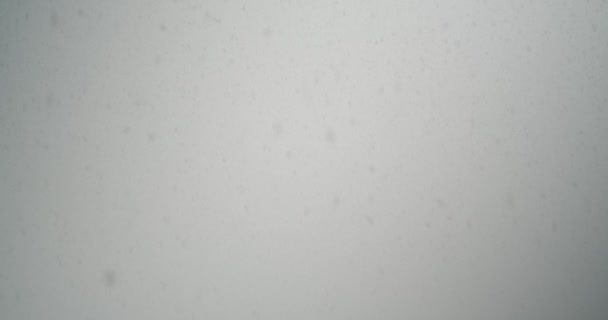 Schneeflocken Hintergrund Schneeflocken Fallen Frohe Weihnachten Neues Jahr — Stockvideo
