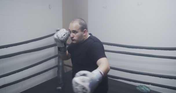 Zwei Männer Beim Sparring Einer Sporthalle — Stockvideo