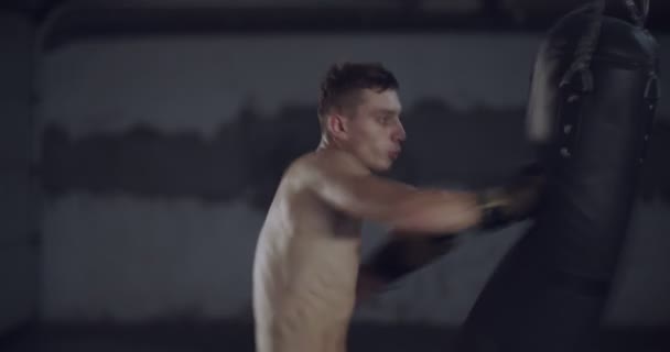 ボクシングスタジオで男のボクサーが巨大なパンチングバッグにぶつかった 男ボクサートレーニングハード — ストック動画
