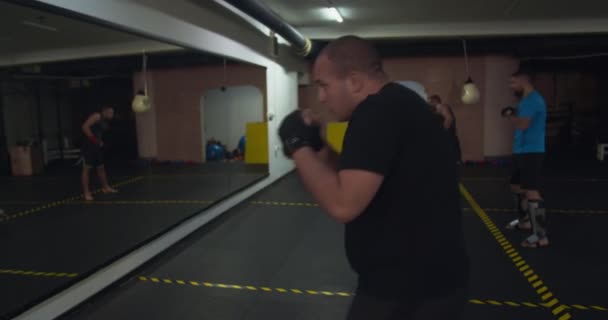 Боксёры Греются Крытом Спортзале — стоковое видео