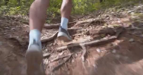 Άντρας Που Τρέχει Μόνος Του Στο Δάσος Την Ημέρα — Αρχείο Βίντεο