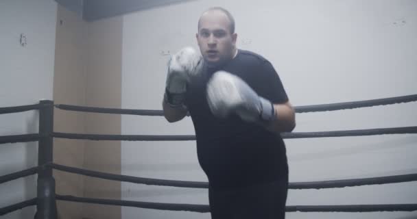 Zwei Männer Kämpfen Einem Ring — Stockvideo