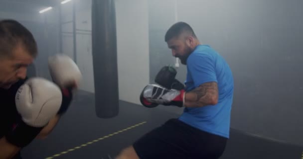 Combatiente Calentándose Con Sparring — Vídeo de stock