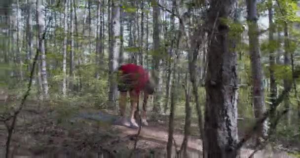 Een Man Die Overdag Alleen Het Bos Rent — Stockvideo