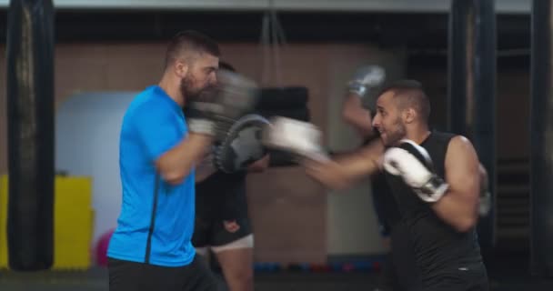 Kick Boxer Échauffement Avec Des Exercices — Video