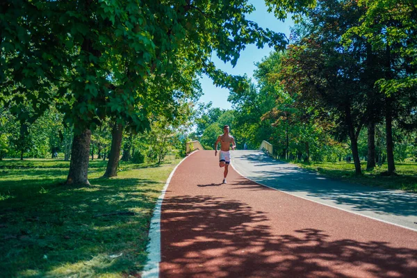 Een Sterke Aantrekkelijke Man Zonder Shirt Het Park — Stockfoto