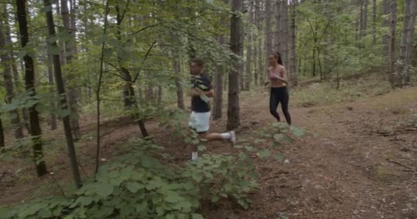 在森林里跑步的年轻夫妇 — 图库视频影像