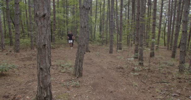 森の中を走る若い運動カップル — ストック動画