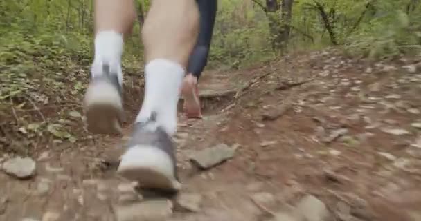 Przycięty Widok Atletycznej Pary Biegającej Świeżym Powietrzu Lesie — Wideo stockowe