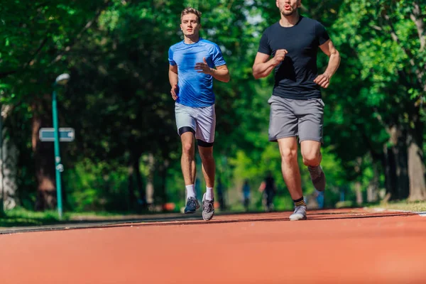 Двоє Здорових Молодих Чоловіків Біжать Парку Сонячний День — стокове фото