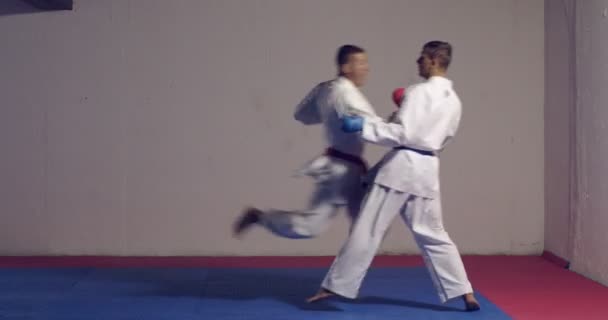 Красивий боксер практикує удари з партнером у бою — стокове відео