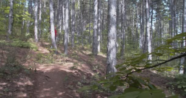 Panning Tiro Corredor Masculino Floresta — Vídeo de Stock