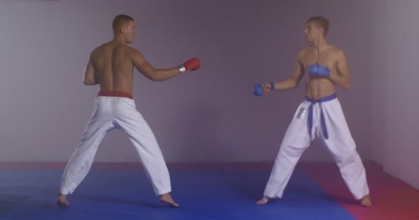 Przystojny bokser ćwiczy uderzenia z partnerem w walce — Wideo stockowe