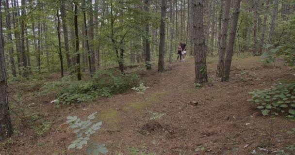 Paar Met Een Pauze Het Bos — Stockvideo