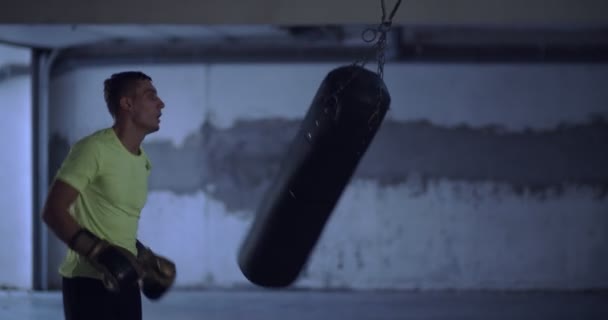 Retrato Boxeador Profesional Determinado Preparándose Para Lucha Entrenamiento Práctica — Vídeos de Stock