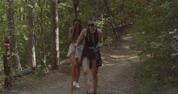 Amigos Caminhando Juntos Floresta Dia Ensolarado — Vídeo de Stock