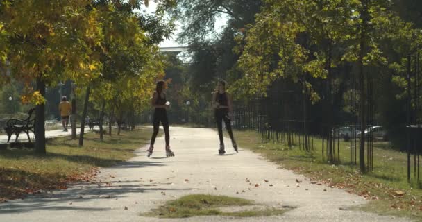 공원에서 뛰어다니는 소녀들 — 비디오