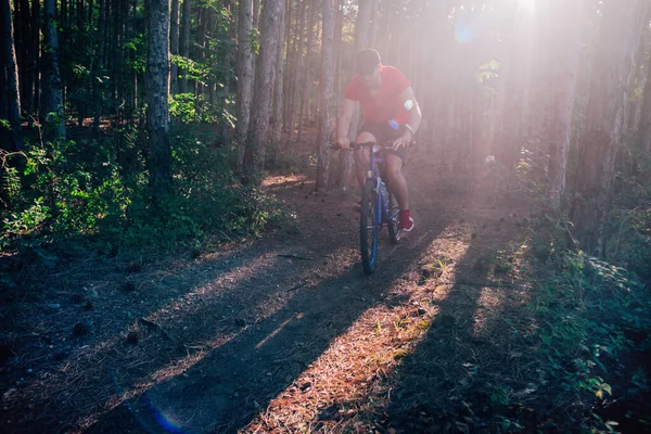 Cyklista Kole Špinavé Stezce Lesem Xtreme Cyklistika — Stock fotografie