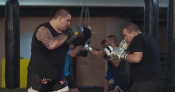 Caja Entrenamiento Con Sacos Boxeo — Vídeos de Stock