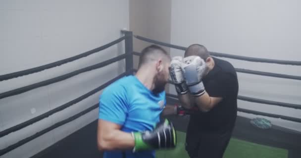 Two Men Sparring Indoor Gym — Stock Video
