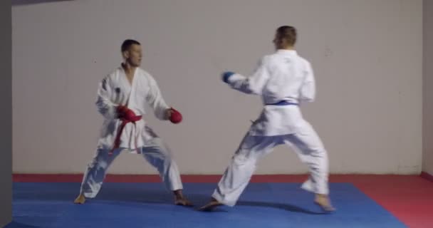 Karate Hombre Practicando Técnicas Lucha — Vídeo de stock