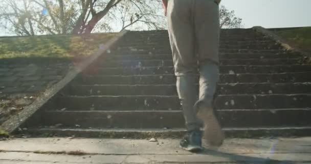 Homme Âgé Faisant Sport Dans Parc Journée Ensoleillée — Video