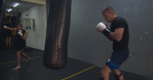 Caja Entrenamiento Con Sacos Boxeo — Vídeos de Stock