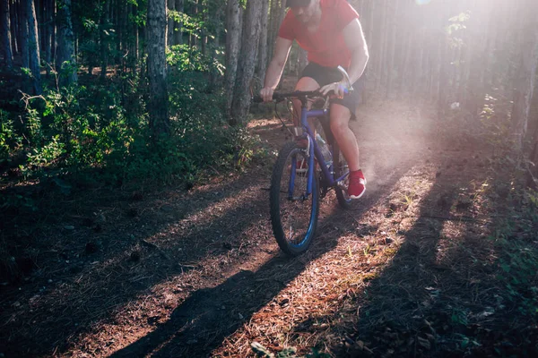 骑自行车的人在穿过树林的土路上骑车 — 图库照片
