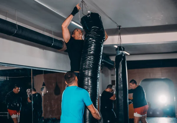 Young boxer prepare for training while raises punching bag on the wall